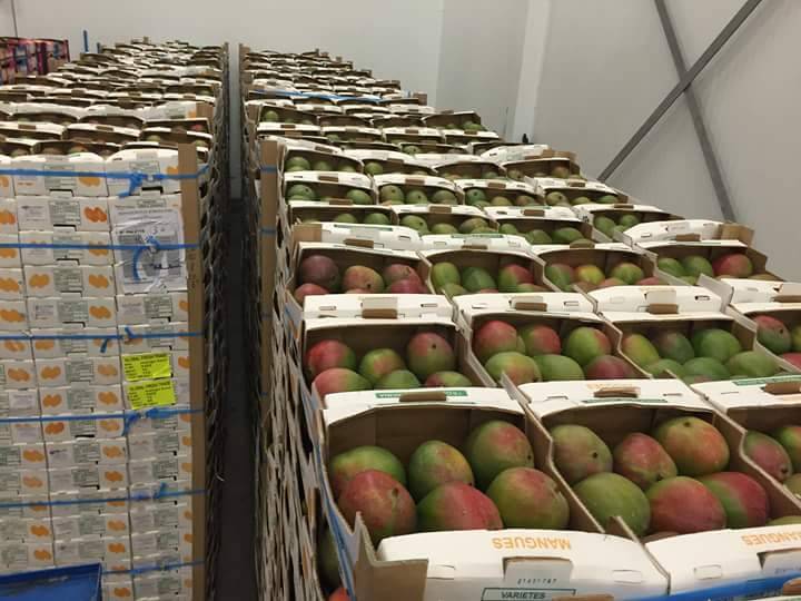 Mango 5,90 euros por caja (4 kg)