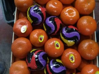 ¡Voy a vender una mandarina de Turquía cal 1