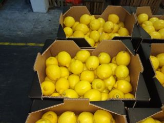 Limón fresco, bonito, primera clase, importación de España, 5-10