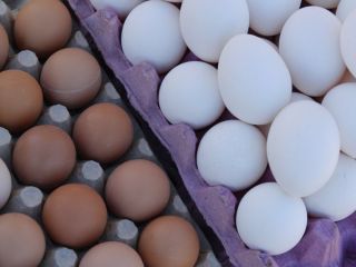 Ucrania. Huevos para gallinas dietéticas de 1.7l pack de