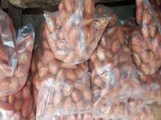 Nos sentimos orgullosos de presentarnos como un exportador, distribuidor