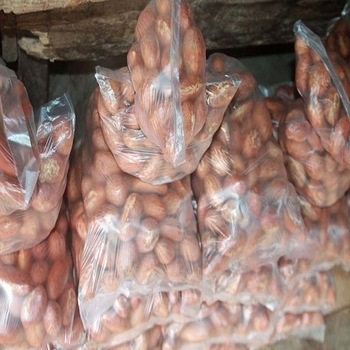 Nos sentimos orgullosos de presentarnos como un exportador, distribuidor y proveedor de Kitter Kola (Garcinia Kola) con buena reputación