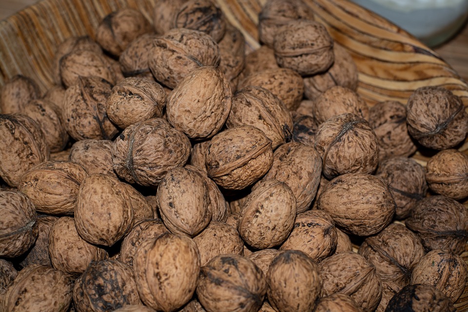 Venderé nueces a partir de 2018