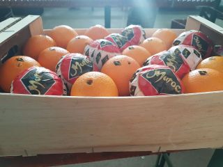 Orange Navel Lane Late de Marruecos. Posibilidad de enviar