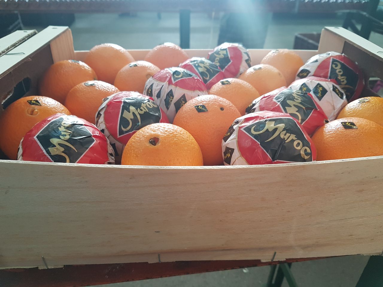 Orange Navel Lane Late de Marruecos