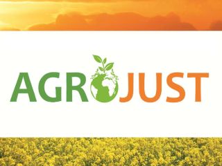Compraremos cualquier cantidad de guisantes. Recogemos nuestro propio transporte