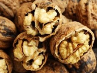 Nutrientes: Proteína, Cobre, Magnesio, Potasio, Vitamina B6, Ácido Fólico,