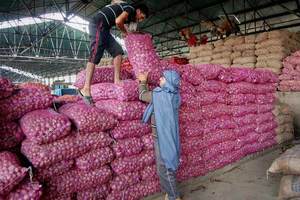 Nuestras cebollas, ajo, jengibre y otras verduras de alta calidad a precios bajos nos han mantenido avanzando durante una década