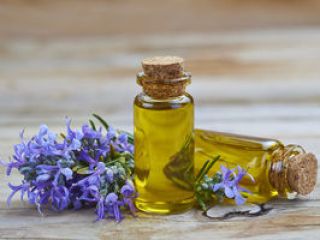 Suministramos aceites esenciales puros, naturales y orgánicos de varios