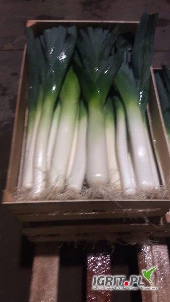 Venderé un puerro en una caja de calibre 2-3 o 3-4