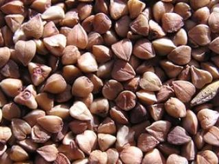 Ucrania. Miel de alforfón 0,8 zl / kg, grañones