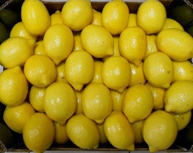 Fresh Lemon en venta contáctenos por correo electrónico o whatsApp para obtener más información