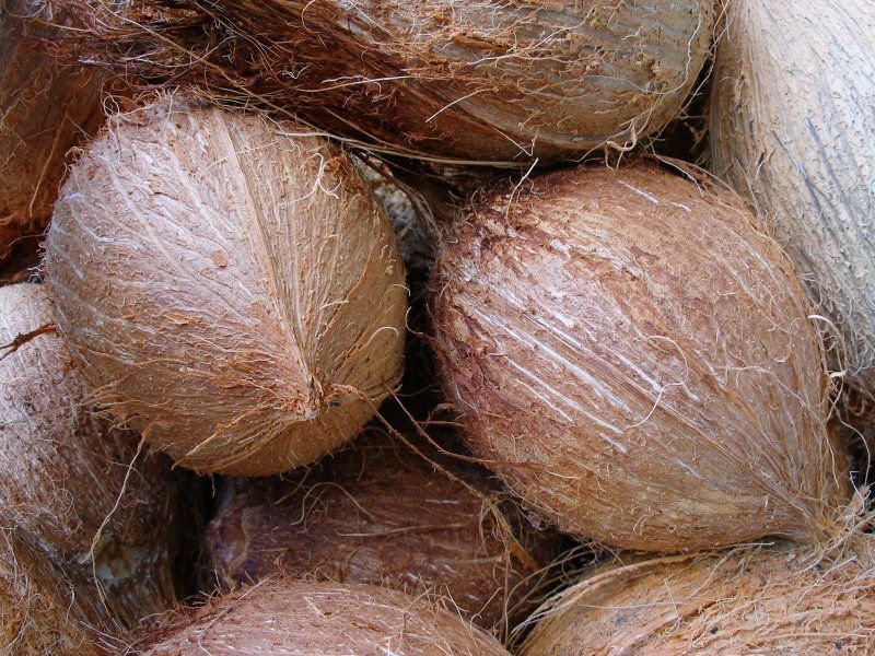 venderé coco semi espumado de Alemania, ( ) Humedad: <7% Fibra: +/- 14% FFA: 0.05- 1.55% Contenido de aceite:> 60% Copra de coco Estilo: secado Secado Proceso