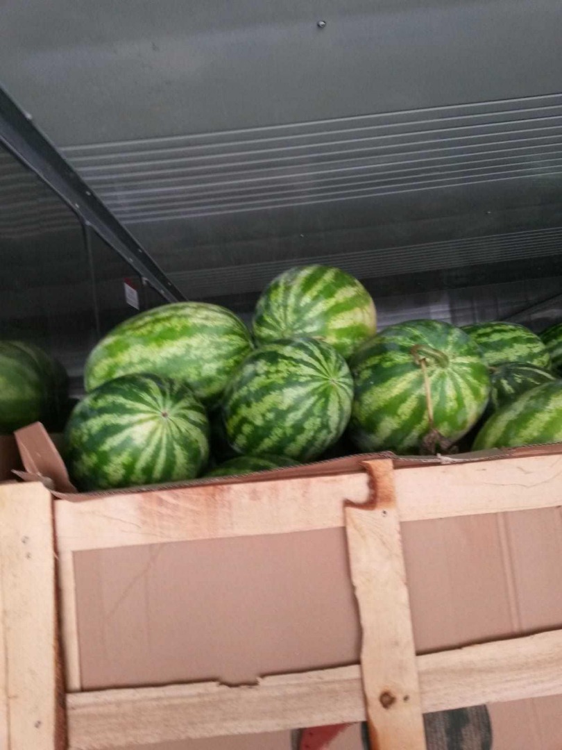 Venderé agua dulce melón Póngase en contacto para obtener más detalles llame al
