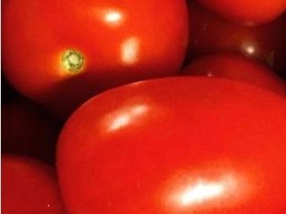 WhatsApp para más detalles: Especificaciones: Producto Tomates frescos Lugar