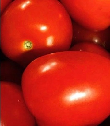 whatsapp para más detalles: Especificaciones: Producto Tomates frescos Lugar de origen Hai Duong, Da Lat Viet Nam Marca Gimex Viet Nam Capacidad de suministro