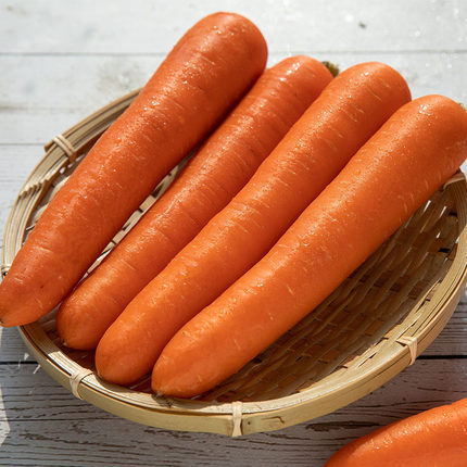 Zanahorias frescas para la venta Todas las variedades disponibles, contáctenos por correo electrónico o whatsApp para obtener más información