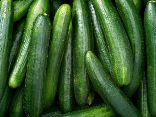 Pepino fresco y en conserva Tipo: pepino en vinagre