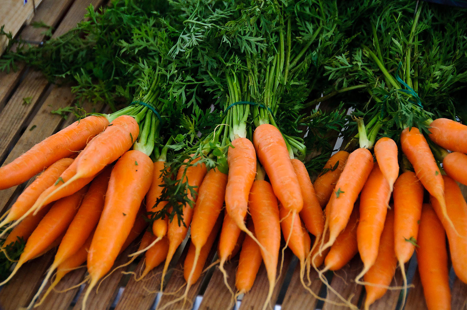 Zanahorias de todos los tamaños con los mejores precios, que incluye el envío y el IVA