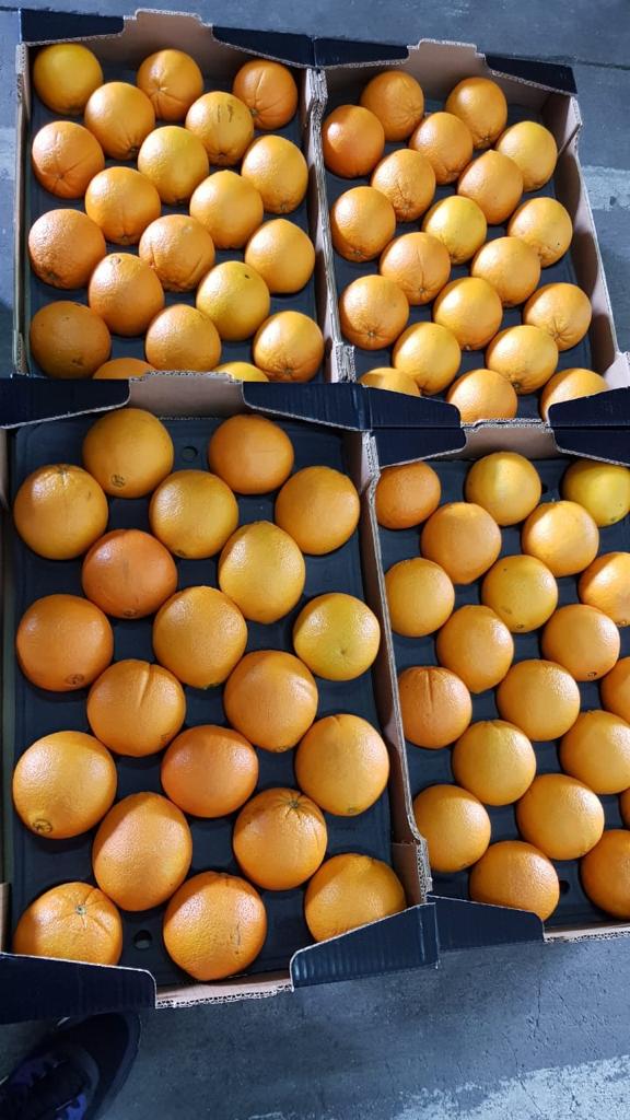 VENDERÉ NARANJA, NARANJA, VARIEDAD - ¡PRECIO DE VALOR CON ENTREGA EN POLONIA! KALIBER: 7-8 - 3.44 PLN / kg netos 5-6 - 3.60 PLN / kg netos 3-4 - 4.20 PLN / kg