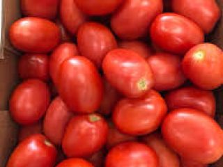 Nuestra empresa es un importante proveedor de productos agrícolas