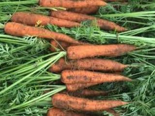 suministramos coles blancas, zanahorias, coles rojas, cebolla fresca, papas