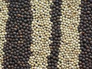 Suministramos pimienta blanca y pimienta negra cultivada ecológicamente. Producto