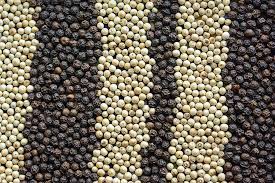 Suministramos pimienta blanca y pimienta negra cultivada ecológicamente
