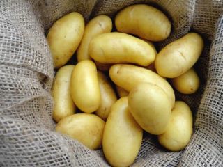 Stare ziemniaki 15kg, 25kg, cena bez VAT zawiera dostawę