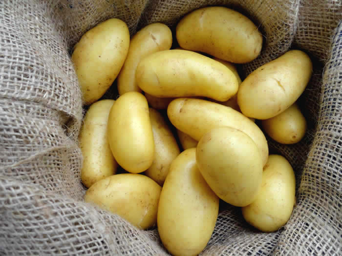 Stare ziemniaki 15kg, 25kg, cena bez VAT zawiera dostawę