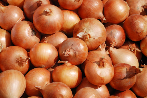Cebula kalibru 5+, marchew, stare ziemniaki, czosnek najlepsza cena obejmuje dostawę