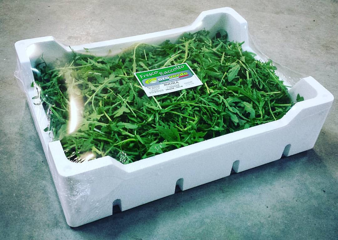 Rucola! ¡Contáctenos para más información! Somos Floriano Mirra, en el sur de Italia