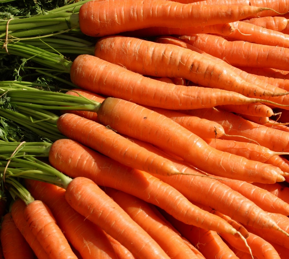 Cebolla fresca de calibre 5+, zanahorias frescas, papas viejas, ajo, col 1 kg - 2 kg de Dinamarca