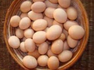 Venderé huevos de la gama gratuita de 4000 piezas