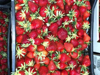 Compre fresas en cantidades grandes y pequeñas. Ofertas de