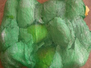 Venta de aguacate fresco Todas las variedades de repollo