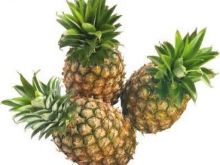 Piñas frescas para la venta Todas las variedades, póngase
