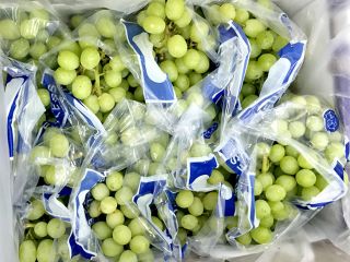 Uvas frescas sin semillas para la venta. contáctenos para