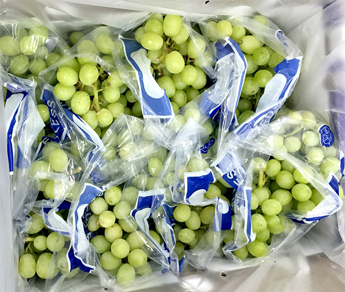 Uvas frescas sin semillas para la venta