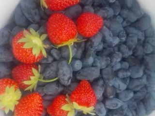 Ofrezco fruta de mora en venta. La recolección comenzará