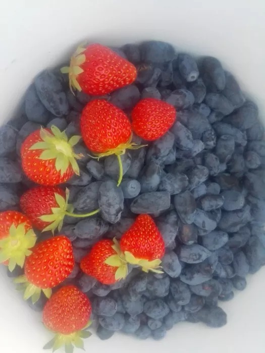 Ofrezco fruta de mora en venta