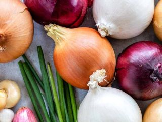 Embolsado de Ajo Blanco Puro / Mayoristas de Ajo