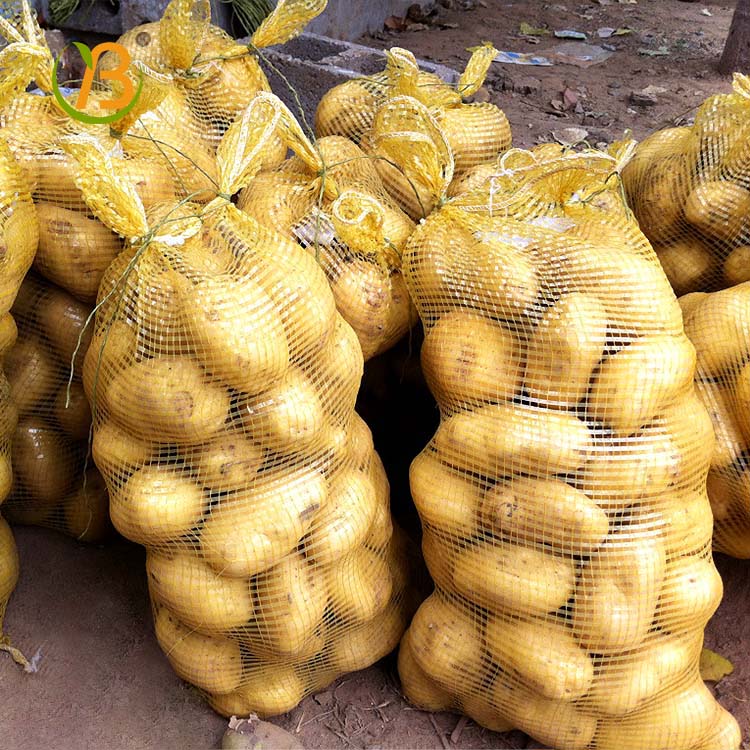 La patata se ha convertido en un cultivo importante tanto para los agricultores como para los consumidores en Polonia