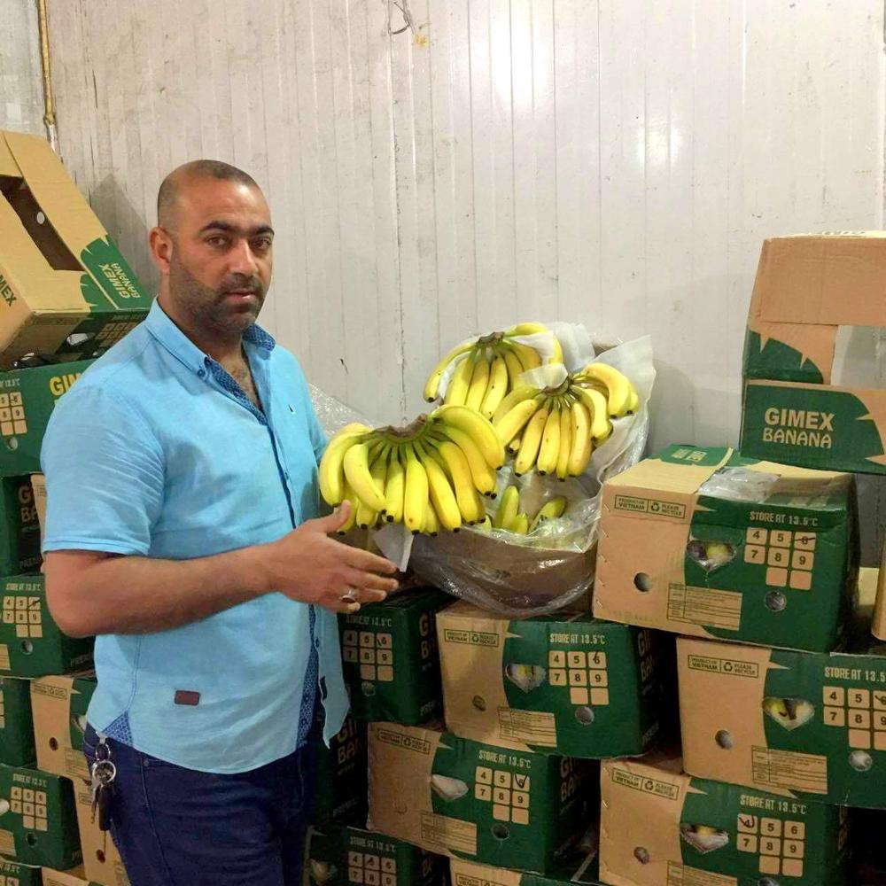 PLÁTANO CAVENDISH FRESCO DE VIETNAM ALTA CALIDAD Whatsapp
