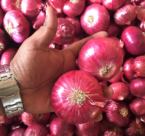Ofrecemos una amplia gama y cebollas rojas frescas exclusivas para la etiqueta de exportación