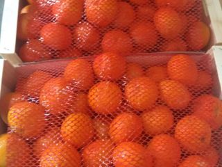 Venderé mandarina Ortanique con un embalaje de madera de