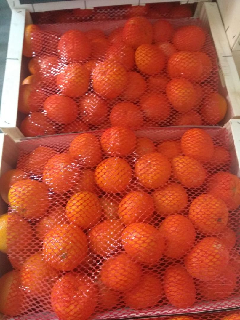 Venderé mandarina Ortanique con un embalaje de madera de 10 kg