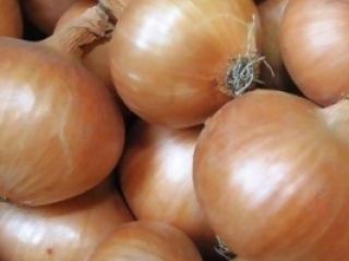 cebolla fresca: 1. Origen: Alemania 2. embalaje: 10 kg