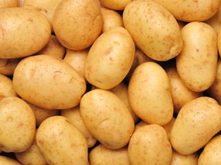 cebolla fresca: 1. Origen: Alemania 2. embalaje: 10 kg