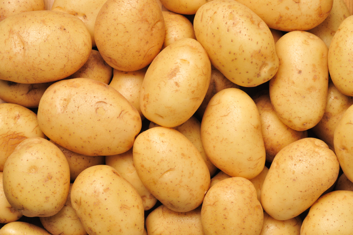 cebolla fresca: 1